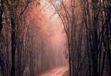 决赛惜败澳大利亚！中国三人篮球男队创亚洲杯最佳战绩中新体坛.